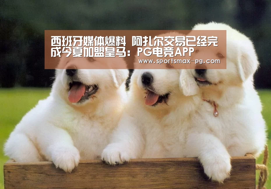西班牙媒体爆料 阿扎尔交易已经完成今夏加盟皇马:PG电竞APP(图2) PG棋牌